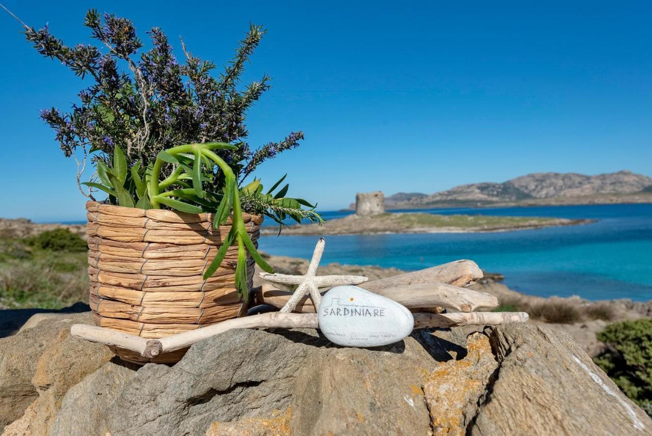 Sardinia Re - Villa Pelosa Stintino Ngoại thất bức ảnh