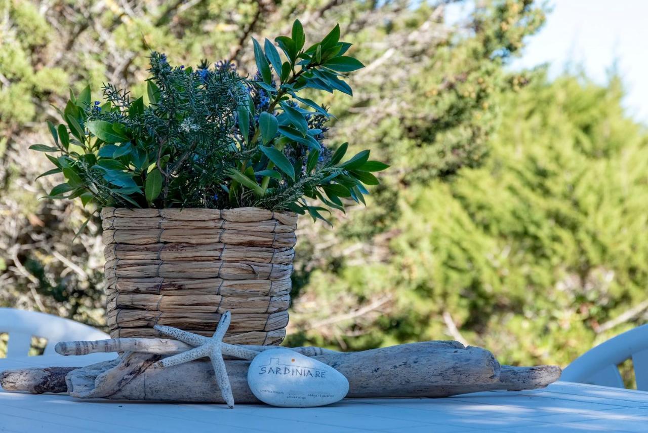 Sardinia Re - Villa Pelosa Stintino Ngoại thất bức ảnh