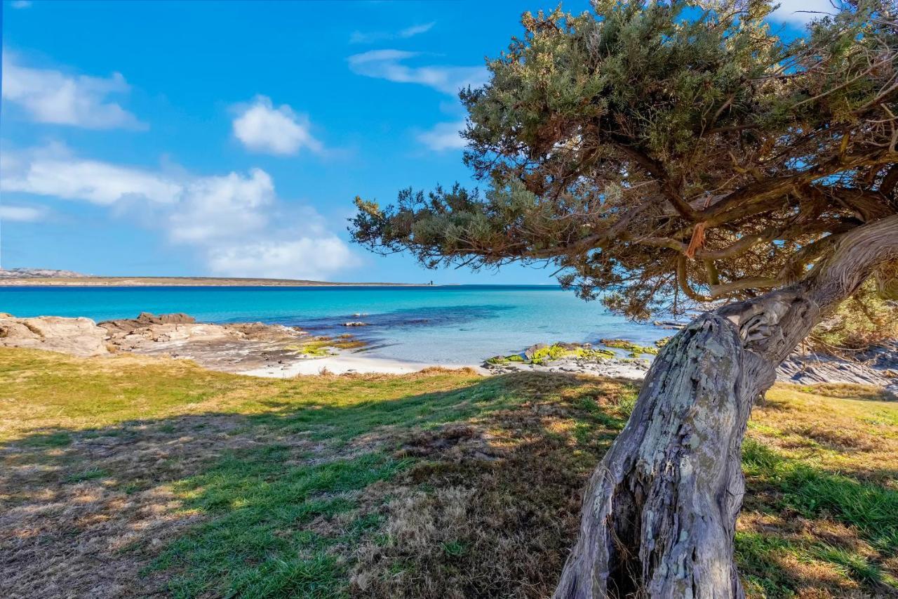 Sardinia Re - Villa Pelosa Stintino Ngoại thất bức ảnh
