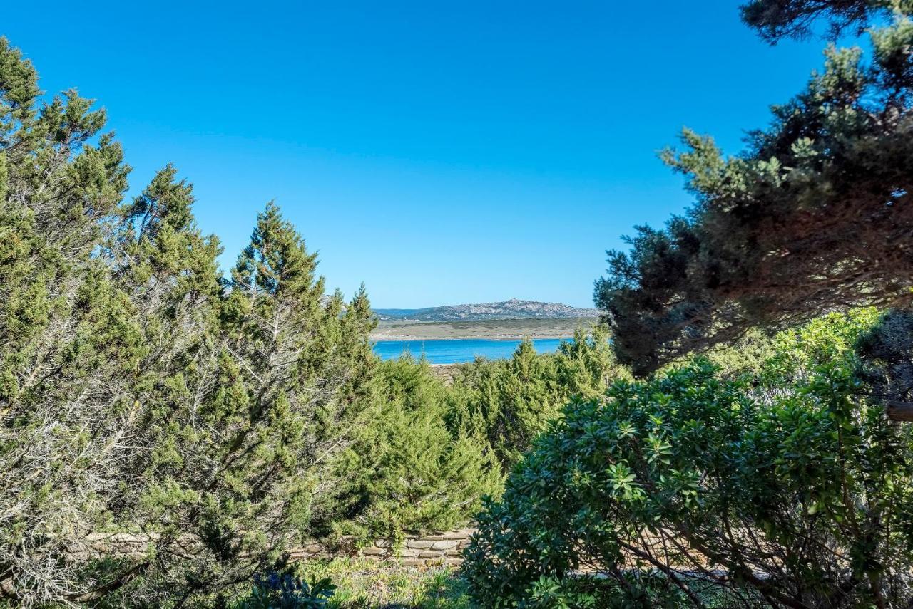 Sardinia Re - Villa Pelosa Stintino Ngoại thất bức ảnh